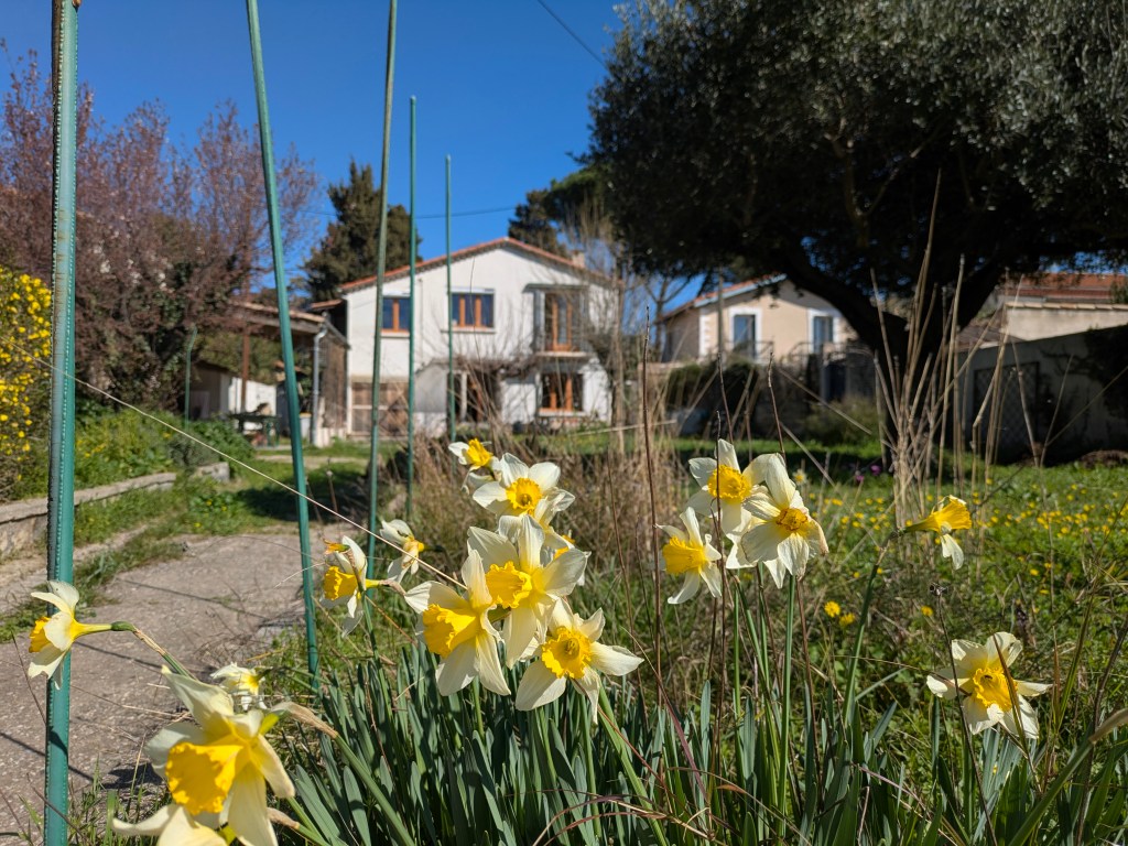 maison ancienne montpellier aiguerelles sur beau terrain au calme avec garage, campagne
